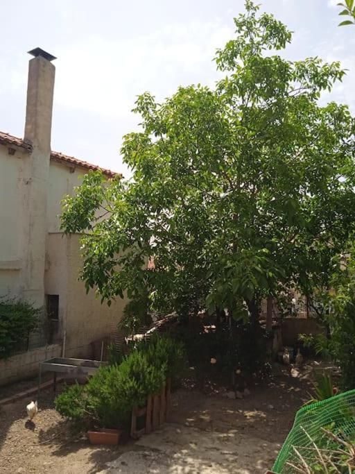 Το Μικρό Σπίτι Στη Φάρμα! Apartment Acharnes Bagian luar foto