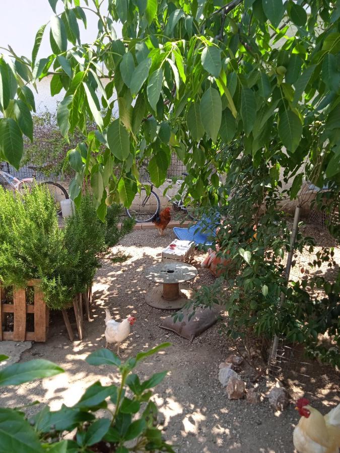 Το Μικρό Σπίτι Στη Φάρμα! Apartment Acharnes Bagian luar foto