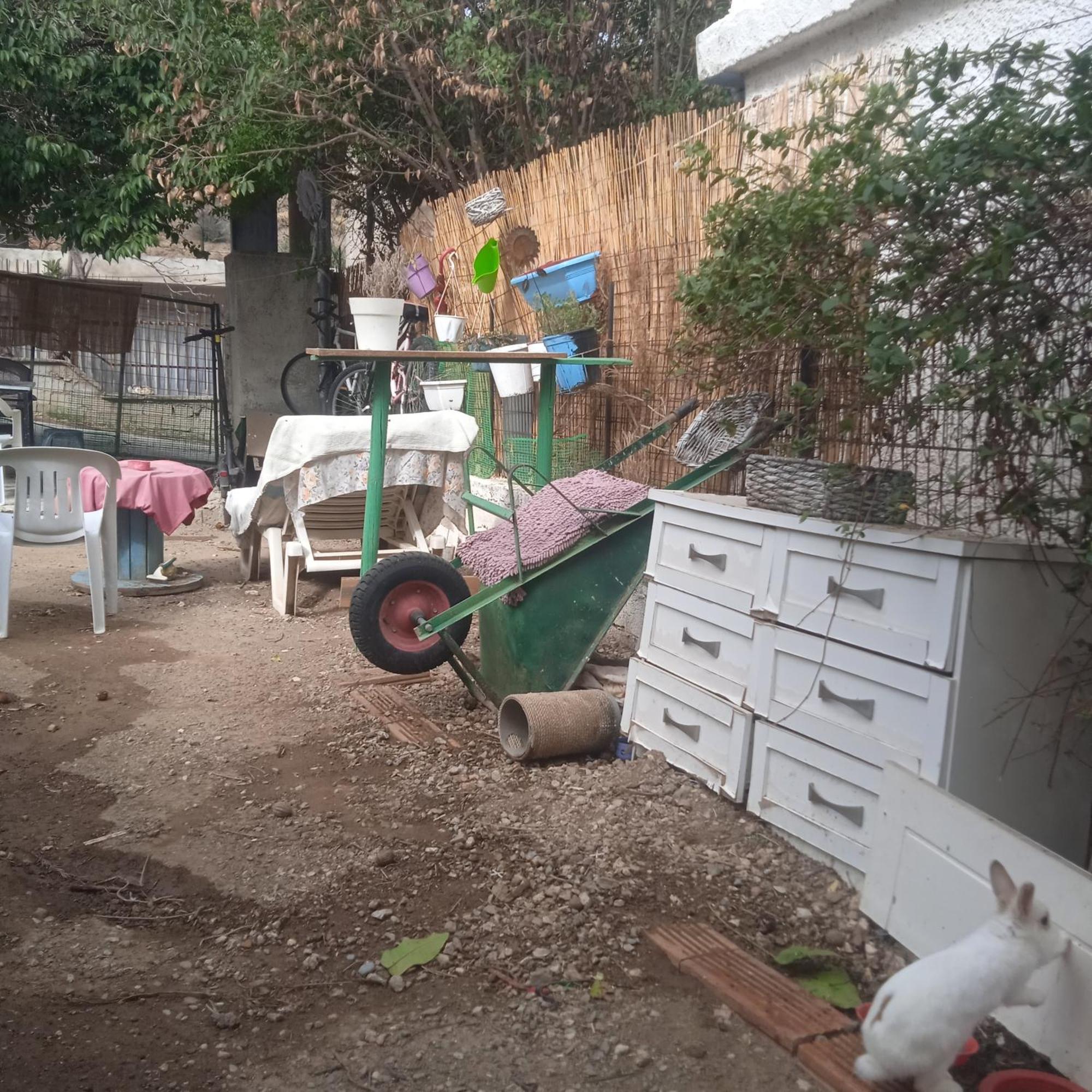 Το Μικρό Σπίτι Στη Φάρμα! Apartment Acharnes Bagian luar foto